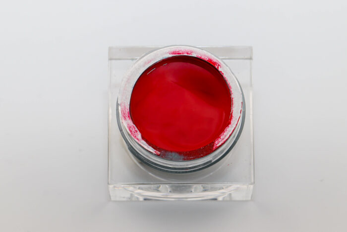 Vampire Kiss- Gel Paint Haute Pigmentation