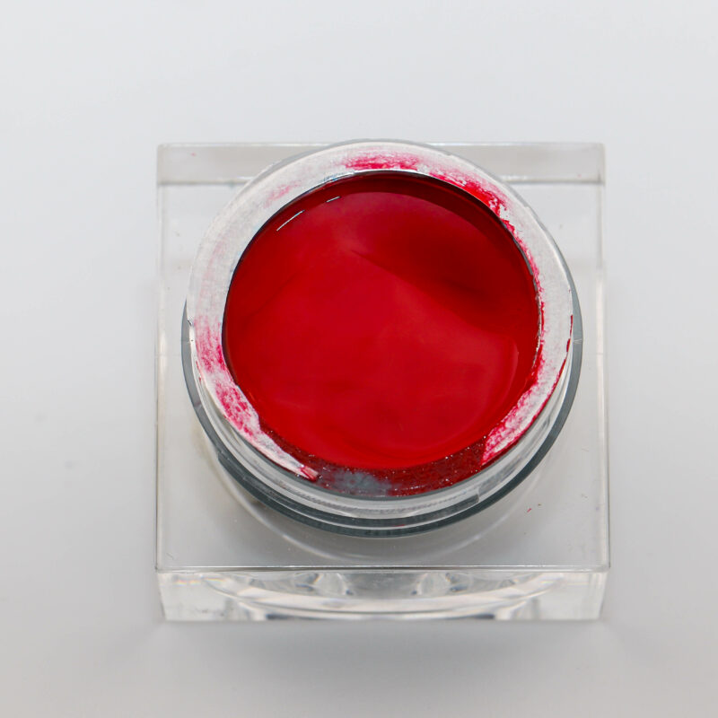 Vampire Kiss- Gel Paint Haute Pigmentation